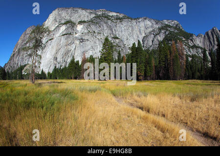 Splendida radura in Yosemite Valley Foto Stock