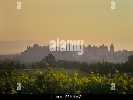 Carcassonne. Il cite. Languedoc-Roussillon. Francia Foto Stock