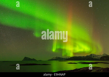 L'Aurora Boreale, Northern Lights, fotografato a Sommaroy, Norvegia Foto Stock