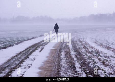 Camminate in solitario su un sentiero innevato rurale durante una tempesta invernale, circondati da campi nebbiosi e neve soffiata in un paesaggio desolato e freddo Foto Stock