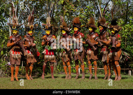 Huli Wigmen danza e tamburo nella loro uccello del paradiso giù copricapo Foto Stock