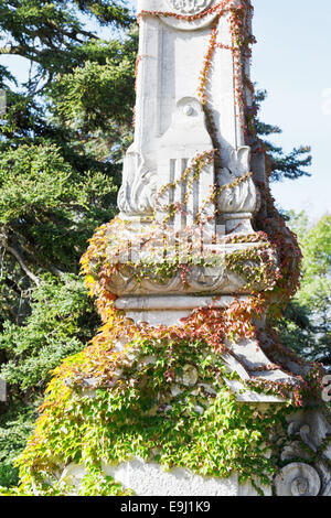 Edera-colonna coperto nel giardino del palazzo di Massandra in Crimea Foto Stock