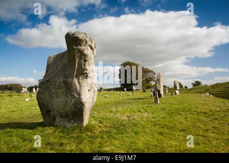 Regno Unito, Inghilterra, Wiltshire, Avebury, cerchio di pietra, principale monoliti henge Foto Stock