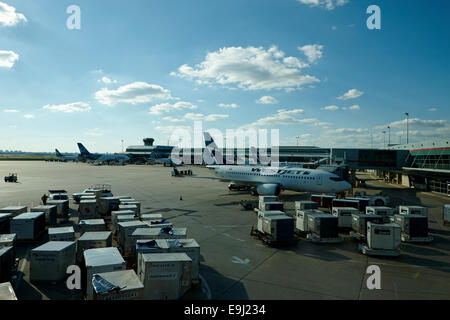 Westjet aerei al terminal 3 Aeroporto Internazionale Pearson di Toronto in Canada Foto Stock