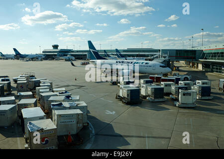 Westjet aerei al terminal 3 Aeroporto Internazionale Pearson di Toronto in Canada Foto Stock