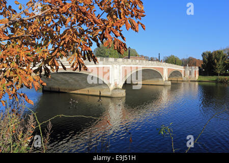 Il fiume Tamigi, SW LONDRA, REGNO UNITO. Il 28 ottobre 2014. Una bella e calda mattina di autunno sul Fiume Tamigi a Hampton Court. Con il sole migliorando i colori dorati degli alberi sulla sponda del fiume che si riflettono nelle acque calme. Credito: Julia Gavin UK/Alamy Live News Foto Stock