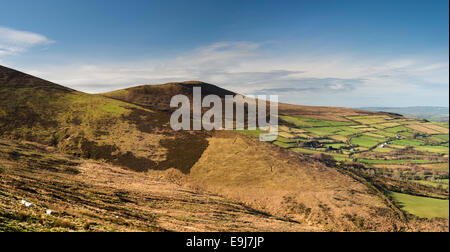 Paesaggio invernale guardando verso Slievebawn, Blackstairs Mountains, nella contea di Carlow, Irlanda Foto Stock