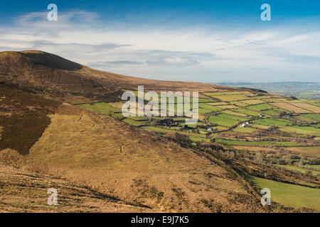 Paesaggio invernale guardando verso Slievebawn, Blackstairs Mountains, nella contea di Carlow, Irlanda Foto Stock