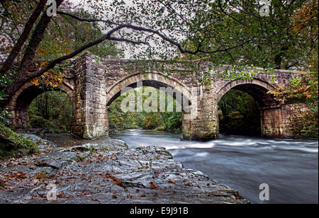 Newbridge o il nuovo ponte è un Il Grade ii Listed è un ponte medievale sul fiume Dart e Dartmoor Devon, Inghilterra. Regno Unito Foto Stock