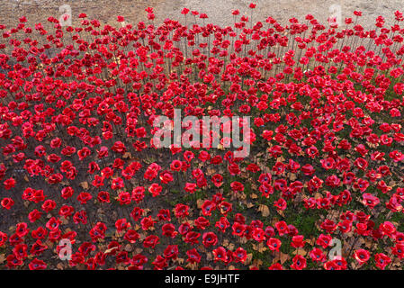 Londra, Regno Unito. 28 ott 2014. WW1 installazione " sangue spazzata di terre e mari di Rosso' nel fossato della Torre di Londra. Credito: Martyn Goddard/Alamy Live News Foto Stock
