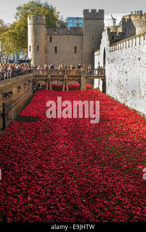 Londra, Regno Unito. 28 ott 2014. WW1 installazione " sangue spazzata di terre e mari di Rosso' nel fossato della Torre di Londra. Credito: Martyn Goddard/Alamy Live News Foto Stock