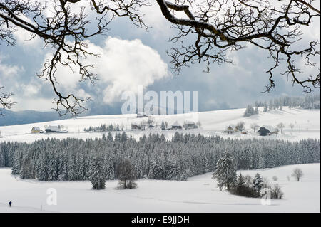 Coperte di neve paesaggio invernale, Breitnau, Foresta Nera, Baden-Württemberg, Germania Foto Stock