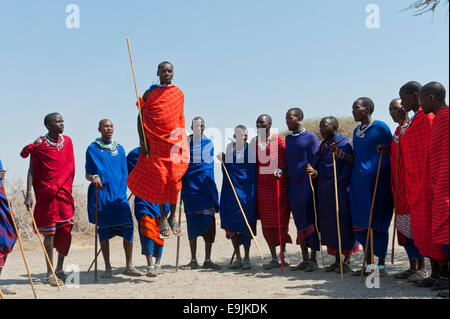 Maasai, gruppo di uomini e donne che danzano, un uomo jumping, Ngorongoro Conservation Area, Kiloki, Tanzania Foto Stock