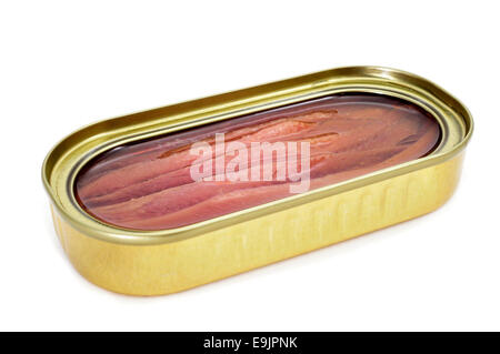 Un open può di acciughe su sfondo bianco Foto Stock