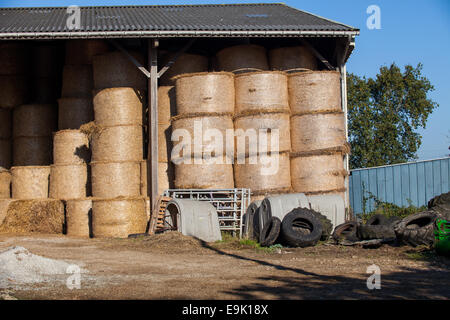 Ottenere pronto per l'inverno in Bretagna Foto Stock