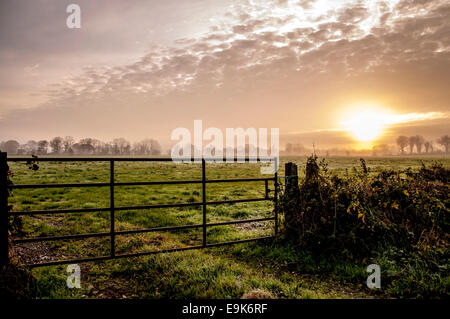 Derrylin County, Fermanagh, Irlanda del Nord. 29 ottobre, 2014. Una nebbiosa per iniziare la giornata. Credito: Richard Wayman/Alamy Live News Foto Stock