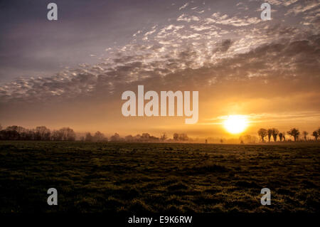 Derrylin County, Fermanagh, Irlanda del Nord. 29 ottobre, 2014. Una nebbiosa per iniziare la giornata. Credito: Richard Wayman/Alamy Live News Foto Stock