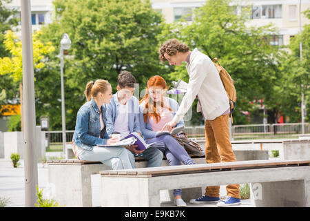 Felice collegio giovani amici che studiano insieme al campus Foto Stock