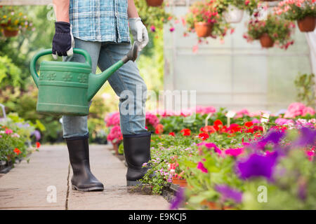 Sezione bassa dell'uomo azienda annaffiatoio in serra Foto Stock