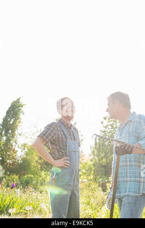 Giardinieri felici conversando al vivaio Foto Stock