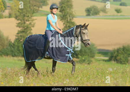 Cavalcare in estate su un pony Connemara indossando un foglio di Mosca Foto Stock