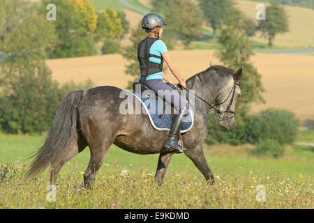 Giovane pilota sul dorso di un pony Connemara indossando un paraschiena duing ride out Foto Stock