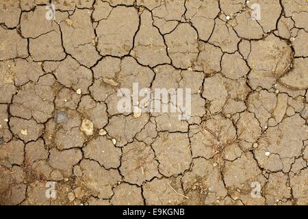 Terreno asciutto Foto Stock