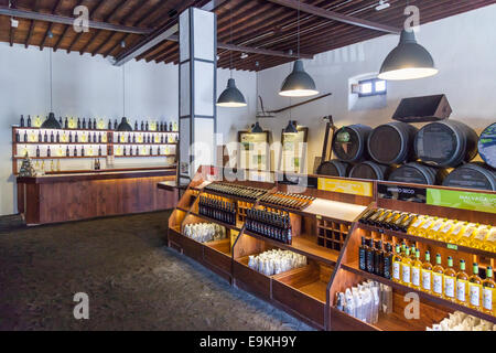 La Geria, Guigan, cantine a Lanzarote. Foto Stock