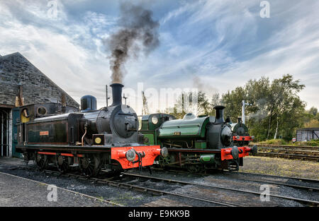 Locomotive a vapore Foto Stock