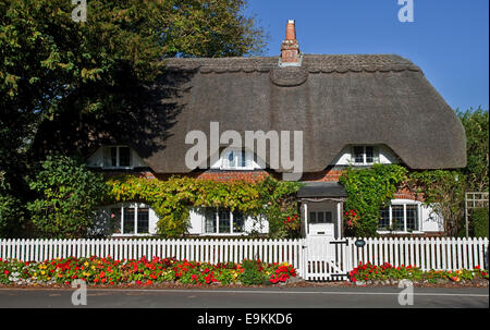 Cottage in Crawley, Hampshire, Inghilterra Foto Stock