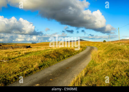 Un viottolo di campagna a Bodmin Moor in Cornovaglia con Roughtor in lontananza Foto Stock