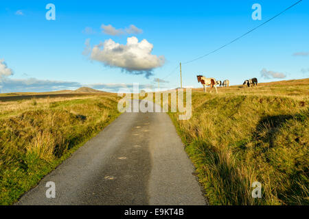 Un viottolo di campagna a Bodmin Moor in Cornovaglia con Roughtor in lontananza Foto Stock