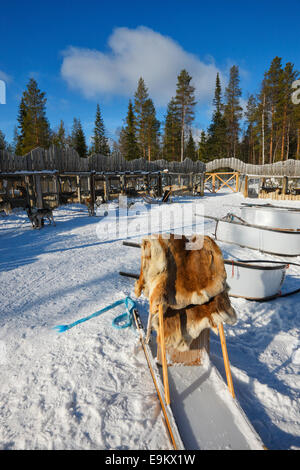 Huski farm - Kopara, Lapponia Finlandia Foto Stock