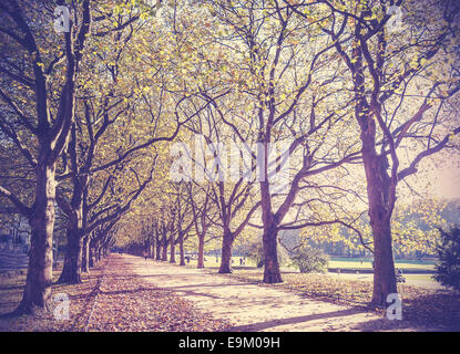 Vintage immagine filtrata di un autunno nel parco. Foto Stock