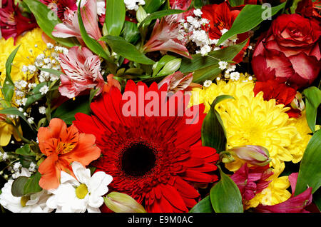 Vista dettagliata del bouquet di fiori per lo sfondo Foto Stock