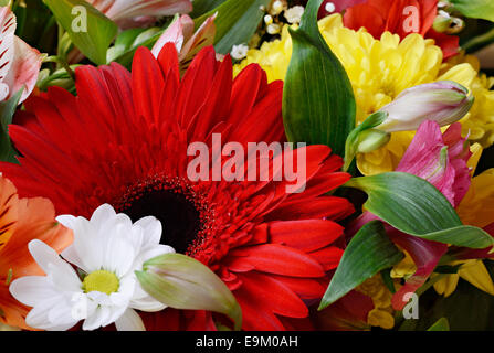 Vista dettagliata del bouquet di fiori per lo sfondo Foto Stock