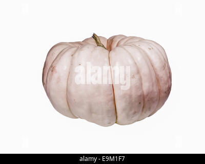 Zucca rosa isolato su sfondo bianco Foto Stock