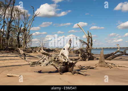 Questa è la vista dalla spiaggia presso la grande isola di Talbot, Florida. Il ponte conduce ad Amelia Island. Foto Stock