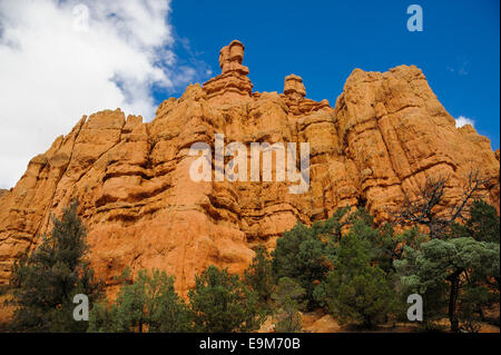 Red Canyon in Dixie National Forest, Utah Foto Stock