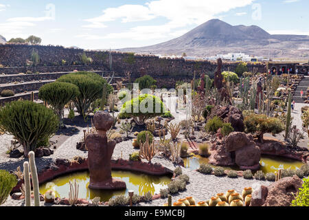 Il Giardino dei Cactus, Jardin du Cactus, Lanzarote Foto Stock