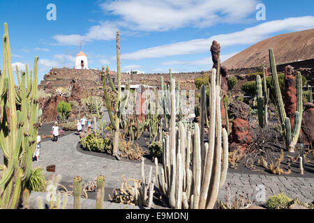 Il Giardino dei Cactus, Jardin du Cactus, Lanzarote Foto Stock