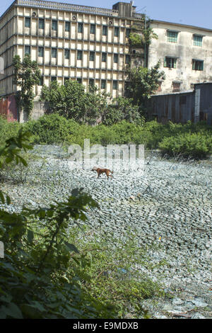 Dacca in Bangladesh. 30 ott 2014. Da gettare i rifiuti chimici e l'olio dalle fabbriche nel canale e il fiume divenne suolo inquinato e acqua a Dhaka che si danno per l'ambiente.Il Bangladesh, Sierra Leone e Sudan del Sud ha portato una classifica dei paesi che si trovano ad affrontare rischi estremi come risultato dei cambiamenti climatici, accentuando la probabilità di conflitti civili, secondo uno studio condotto da ricercatori del Regno Unito Maplecroft.Una combinazione di cambiamenti climatici vulnerabilità, insicurezza alimentare pressioni demografiche, debolezze infrastrutturali e la mancanza di competenze per affrontare il cambiamento climatico, può amplificare i rischi di disordini civili in Bang Foto Stock