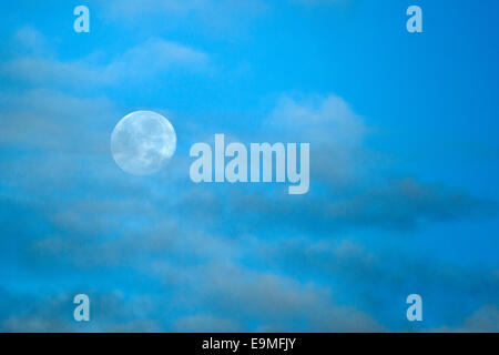 Luna di mattina presto sulla brughiera in autunno Cannock Chase Area di straordinaria bellezza naturale Staffordshire Foto Stock