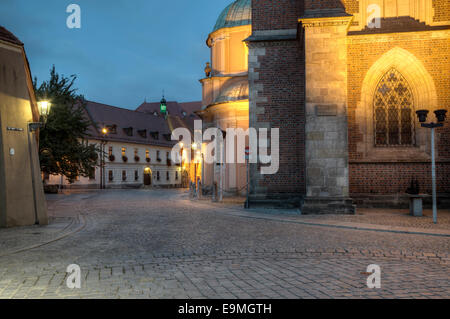 Plac Katedralny Cattedrale Platz sulla Cattedrale Isola Ostrów Tumski, Wroclaw, Polonia Foto Stock