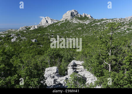 Paesaggio monte Velebit Croazia Foto Stock