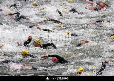 Nuotatori del Neckar, nuoto la concorrenza a Heidelberg Triathlon, Heidelberg, Baden-Württemberg, Germania Foto Stock