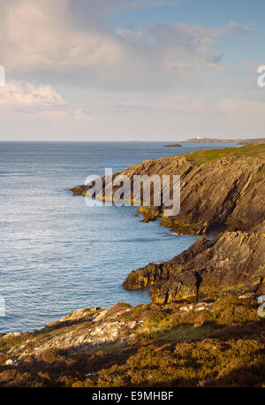 IoAC sentiero costiero occidentale della baia di Bull (Porta Llechog) vicino Amlwch sulla costa settentrionale dell' isola di Anglesey, Galles del Nord Regno Unito Foto Stock