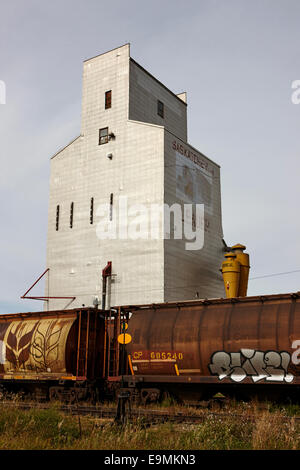 Elevatore granella con trasporto alla rinfusa treno leader in Saskatchewan in Canada Foto Stock