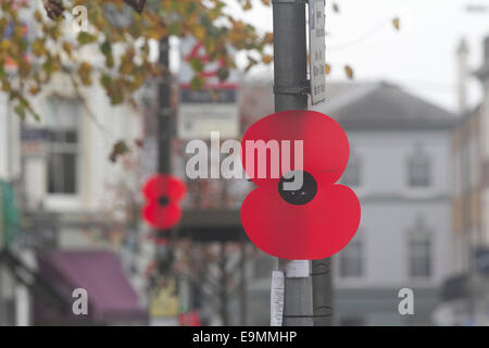 Londra, Regno Unito. Il 30 ottobre, 2014. Papaveri rossi decorano le fermate degli autobus lungo il torneo di Wimbledon High street in preparazione al Giorno del Ricordo commemorazioni Credito: amer ghazzal/Alamy Live News Foto Stock