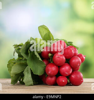 Rossi freschi ortaggi di rafano in estate su una tavola di legno Foto Stock